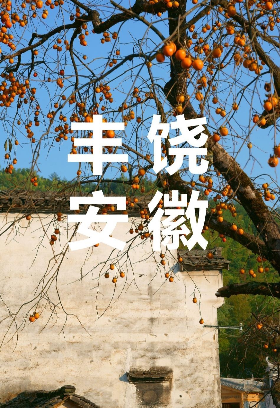 豐饒安徽
